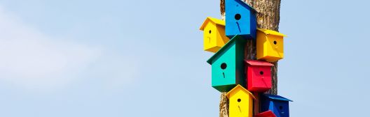 Colorful bird houses