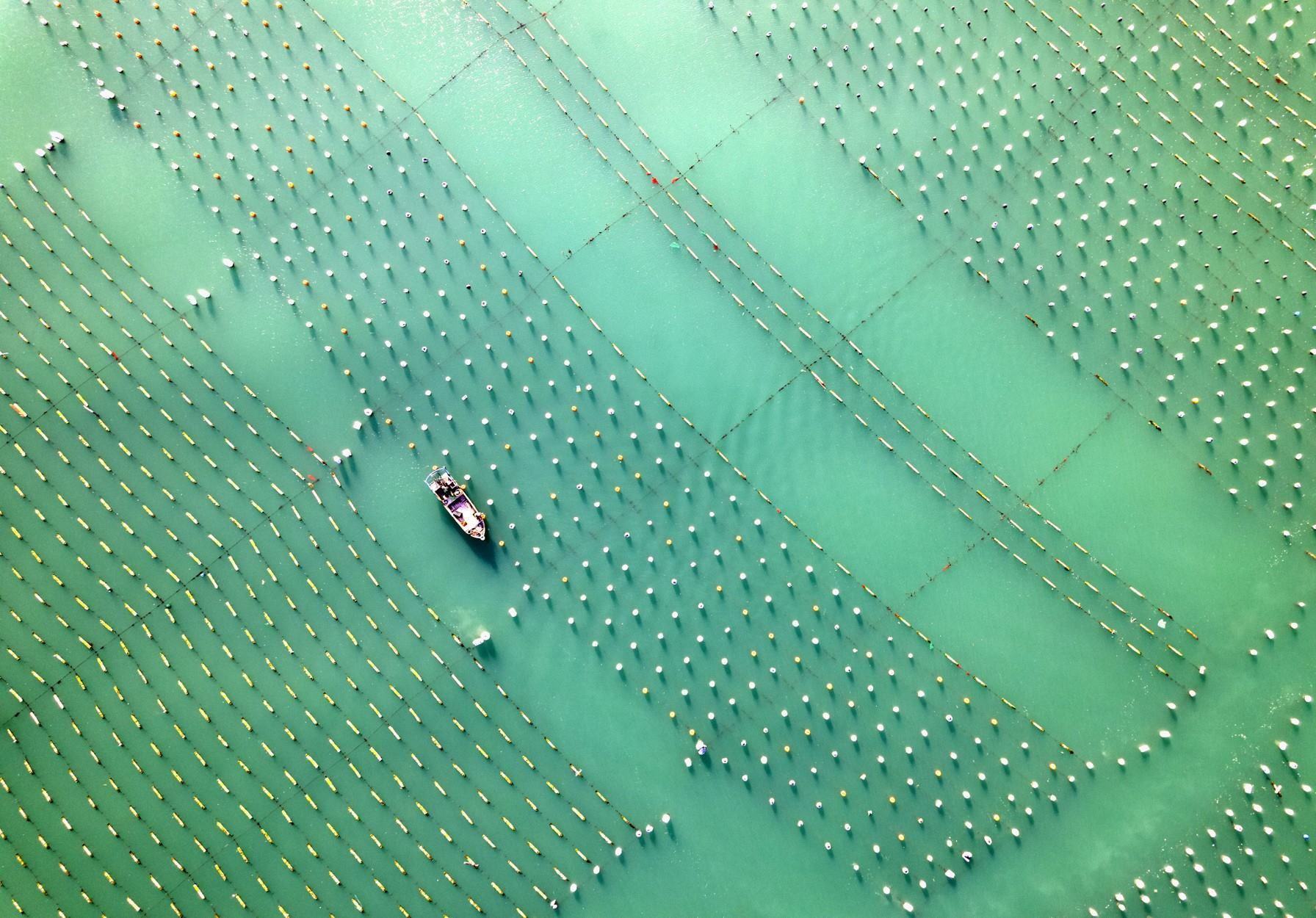 A boat in the water