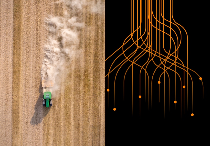 Stacked hay balesafter the harvest, winter fodder for animals